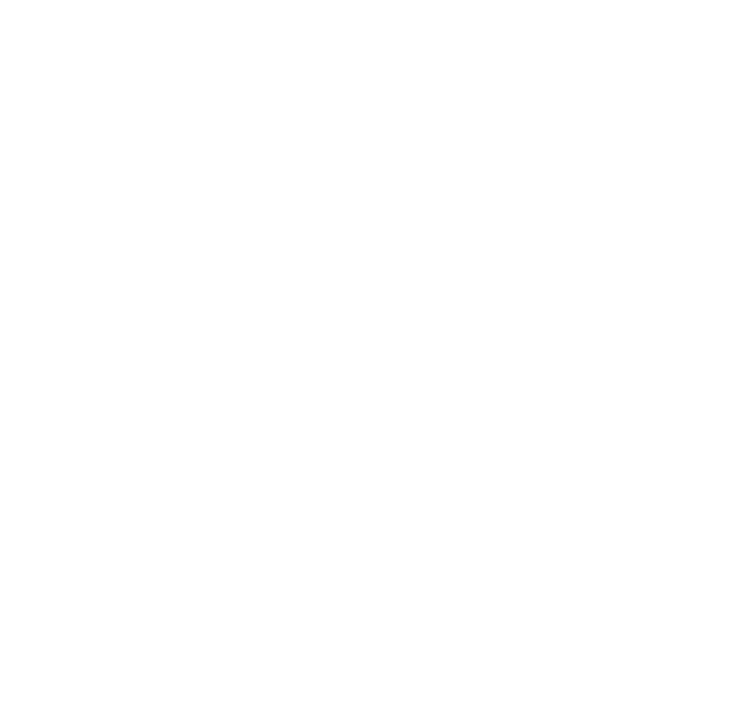 Enactus ENET'com symbol, an origami-folded bird