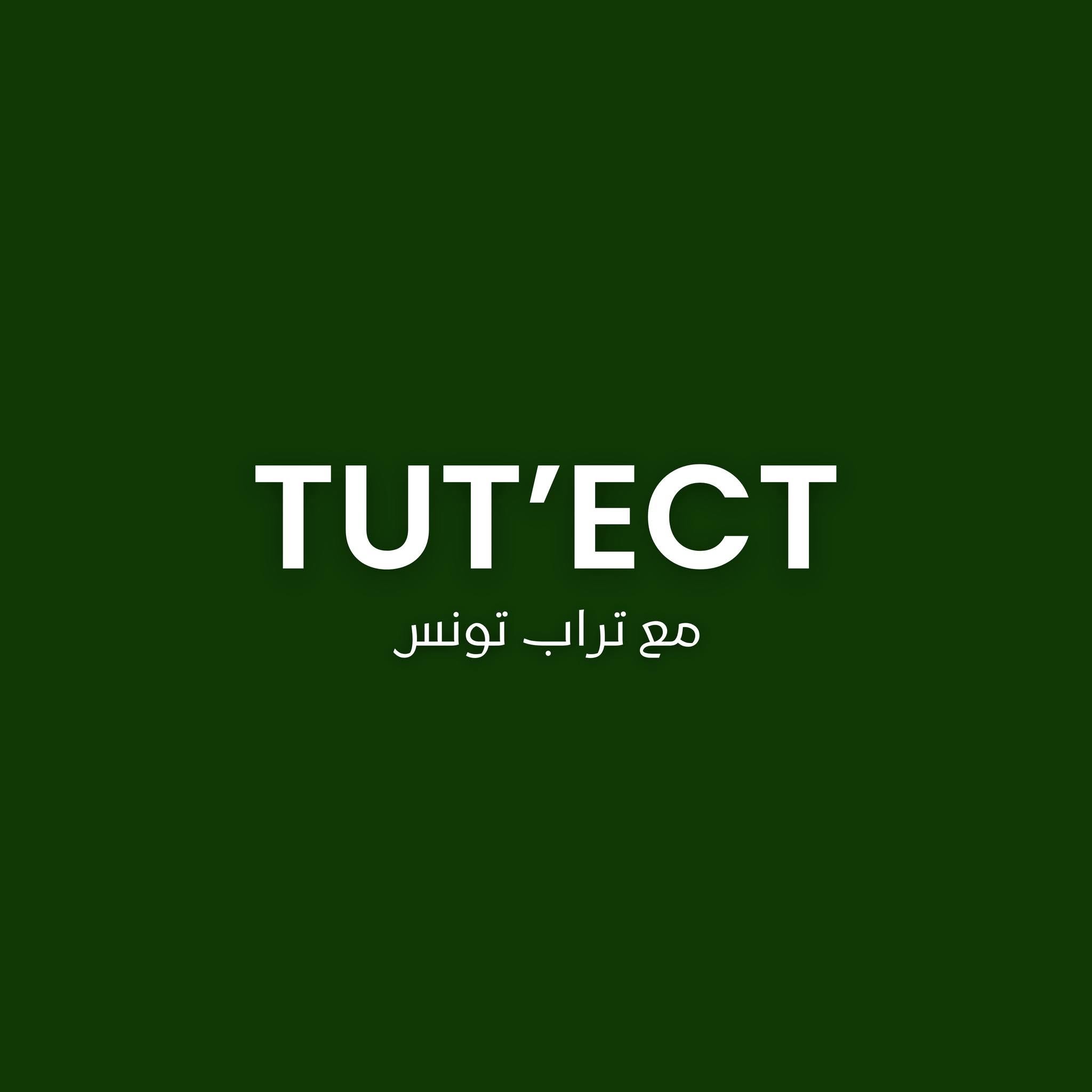 Tut'Ect project